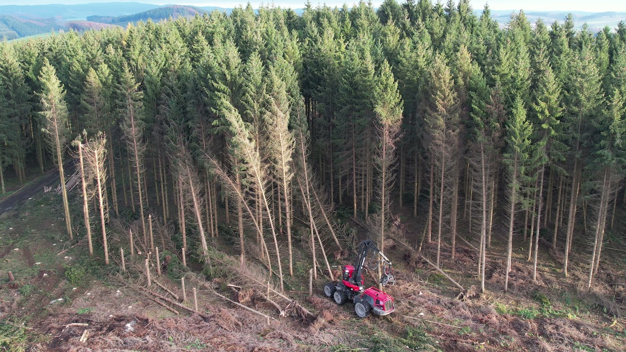 Harvesterarbeiten forest harvest komatsu harvester
