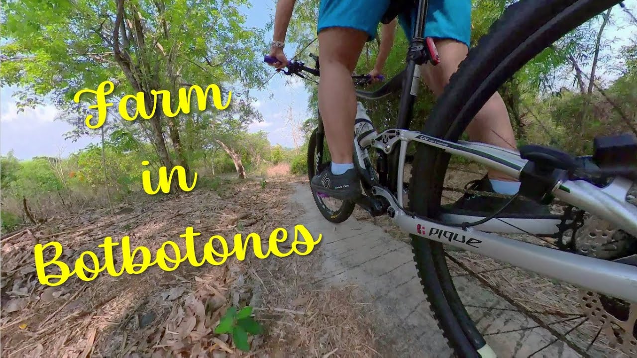 Farm in Botbotones | Sta. Ignacia, Tarlac