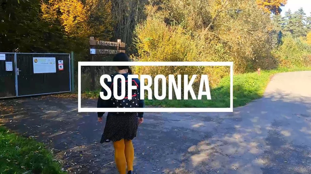 Plzeň známá neznámá 85/99 Sofronka