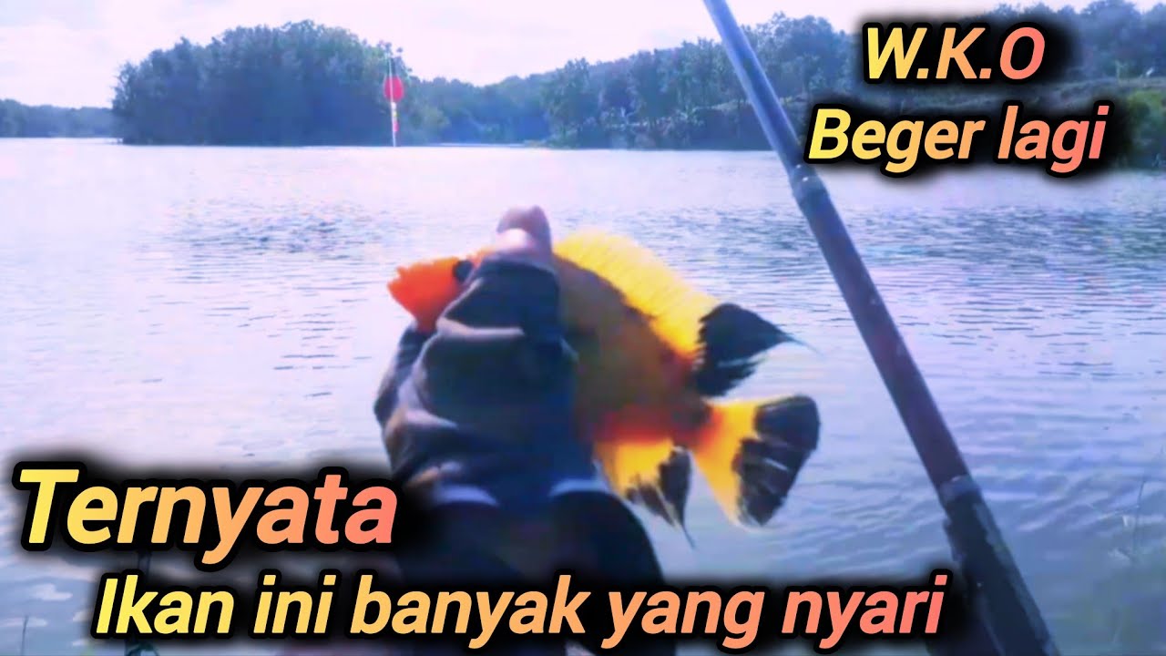 Mancing Waduk Kedung Ombo #mancingwkoterbaru