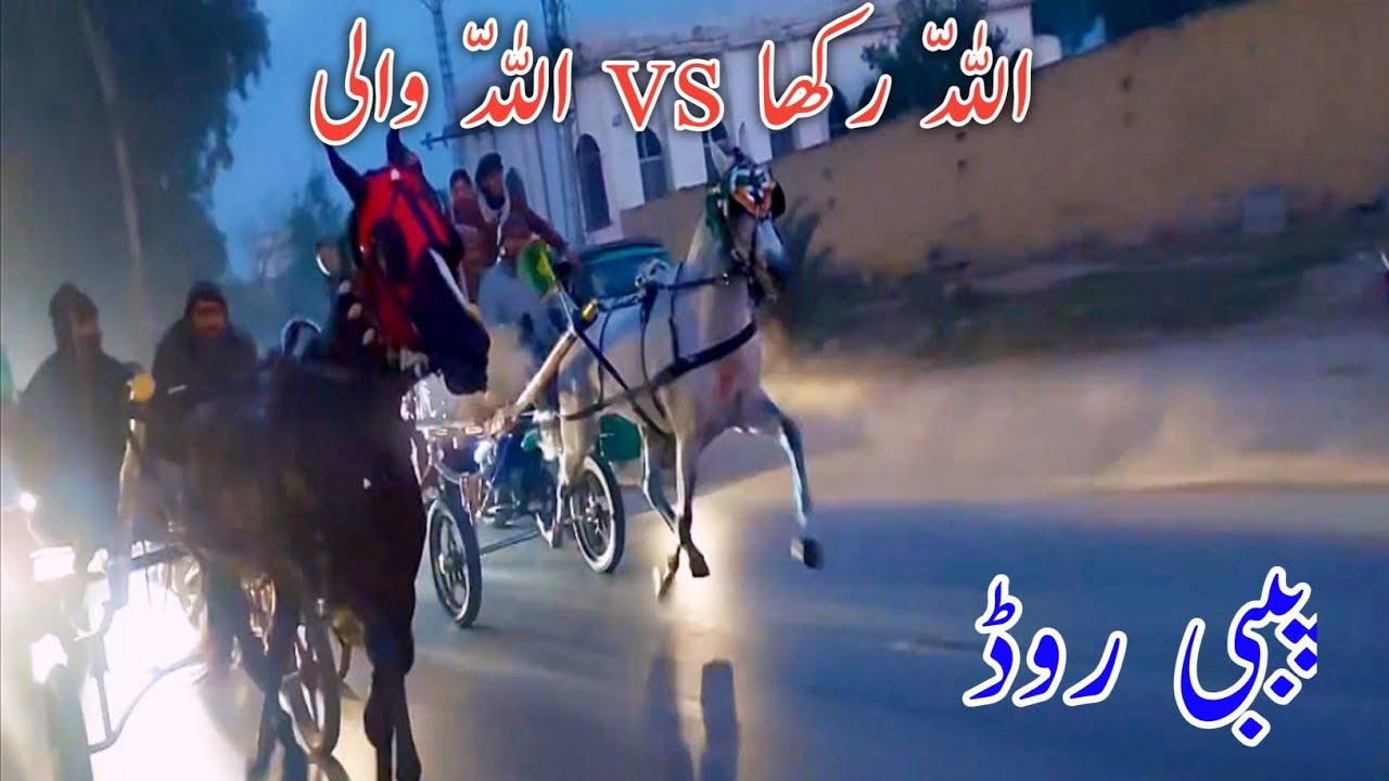 Tanga Race: Allah Rakha VS Allah Wali - The Champion Horse From All Pakistan