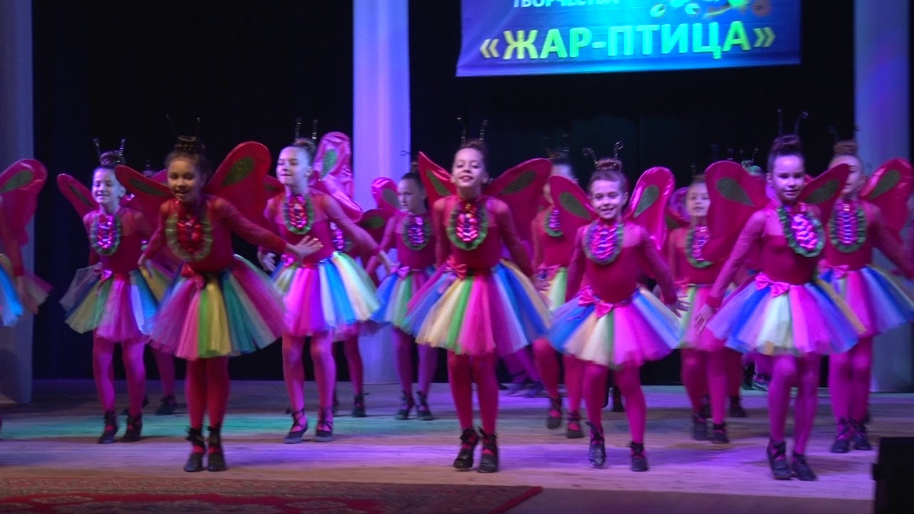 Бабочки