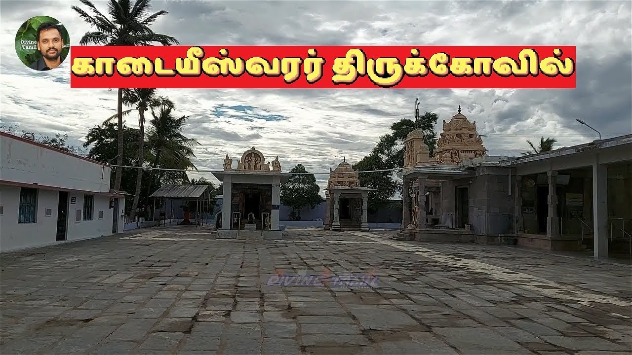 அருள்மிகு காடையீஸ்வரர் திருக்கோவில் | வெள்ளையம்மன் கோவில் |