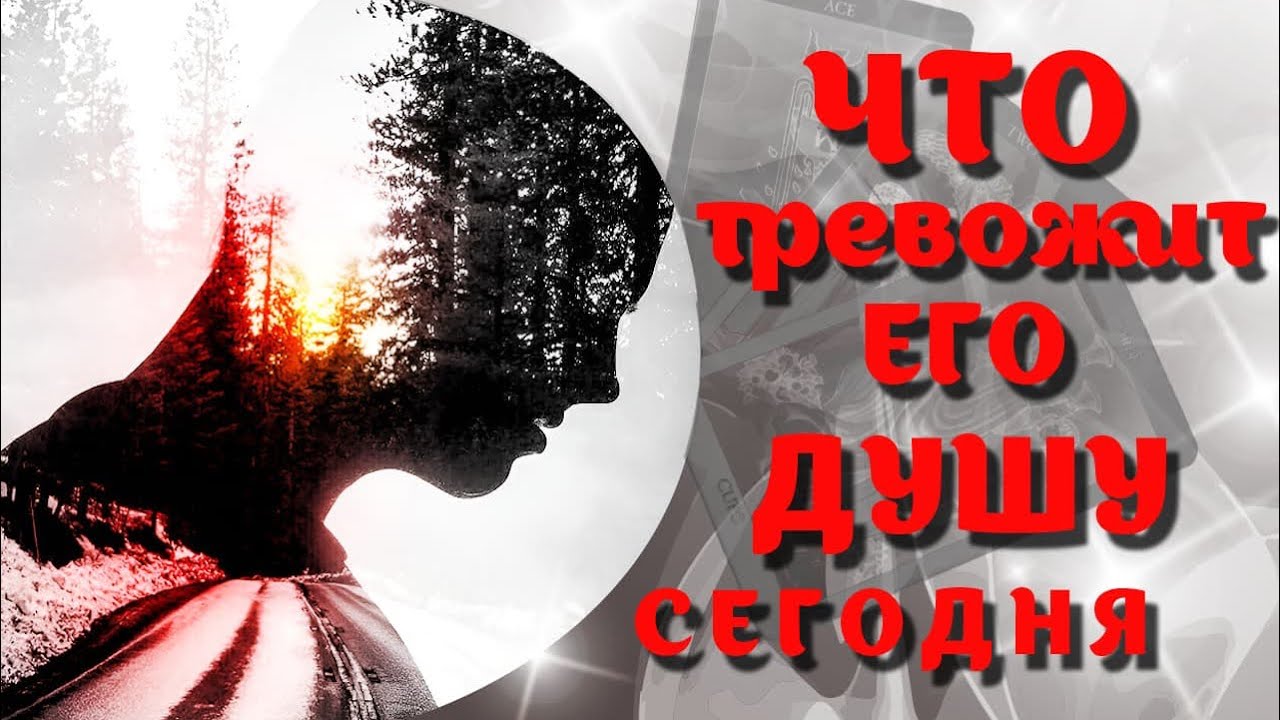 ЧТО ТРЕВОЖИТ ЕГО ДУШУ И ЕГО НАМЕРЕНИЯ 🤷🏻‍♂️❤️ТАРО РАСКЛАД