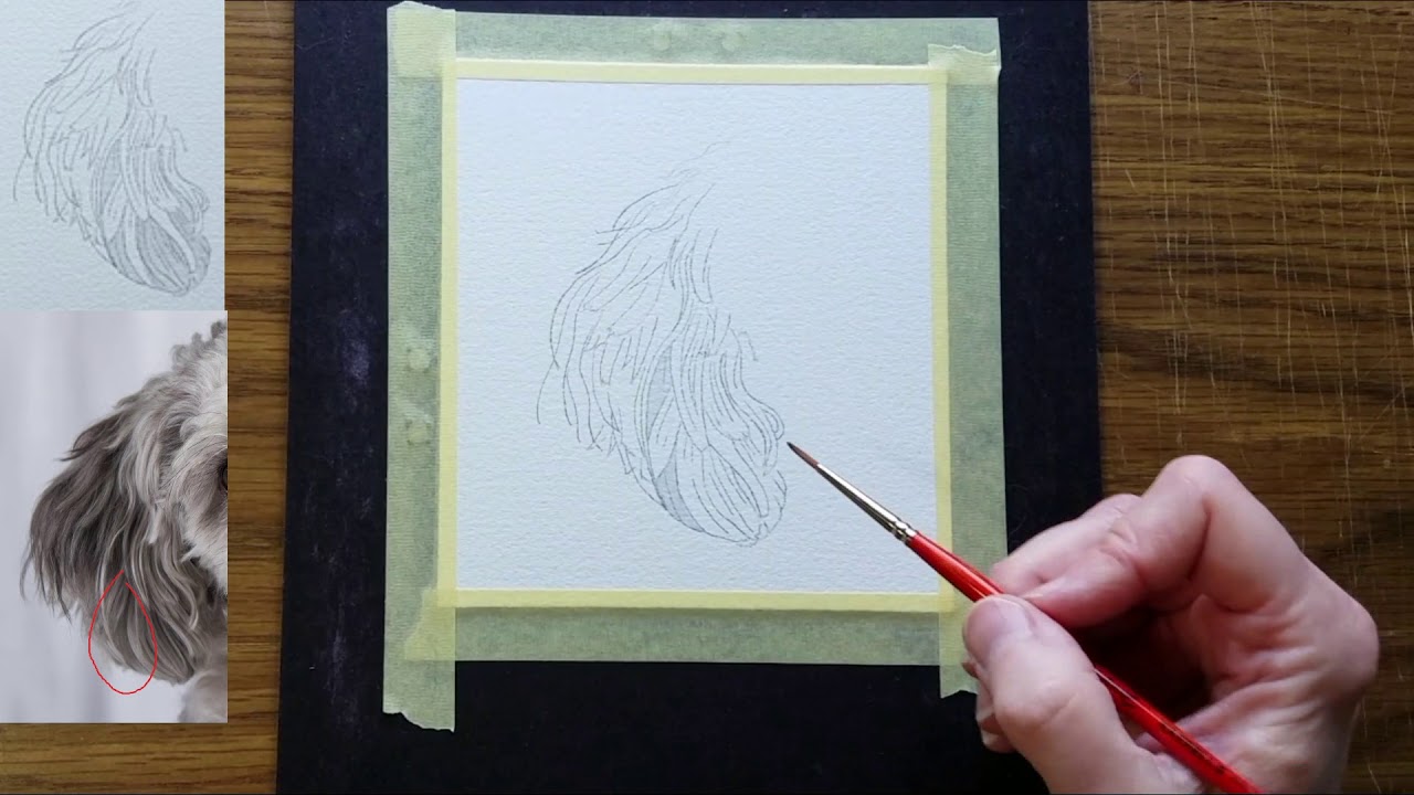 Part 1: How to Paint Chunky Fur - a Dog's Ear in Watercolor