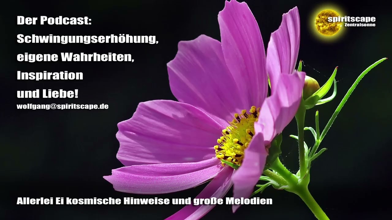 Allerlei Ei kosmische Hinweise und große Melodien – Podcast