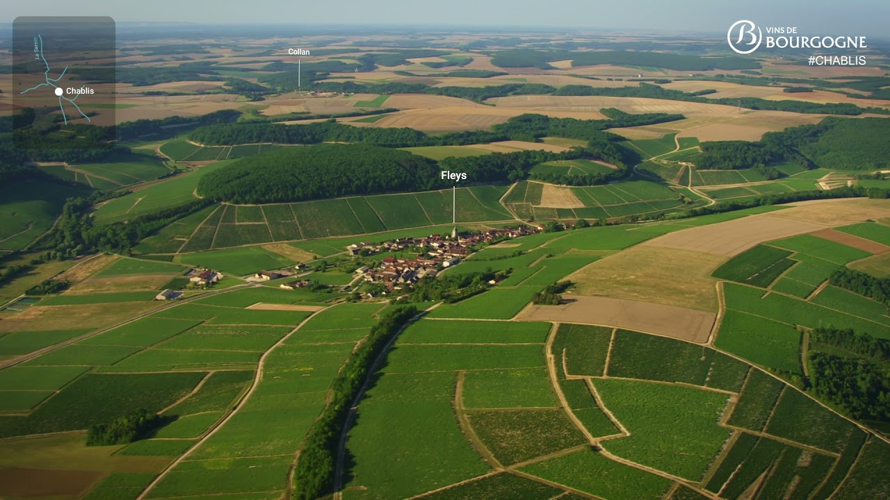 Carte d’identité de l'appellation Chablis