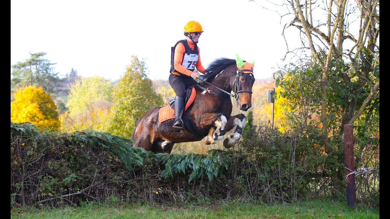 Cotswold Team Chase - Mini: Team Space Hoppers: Equireel