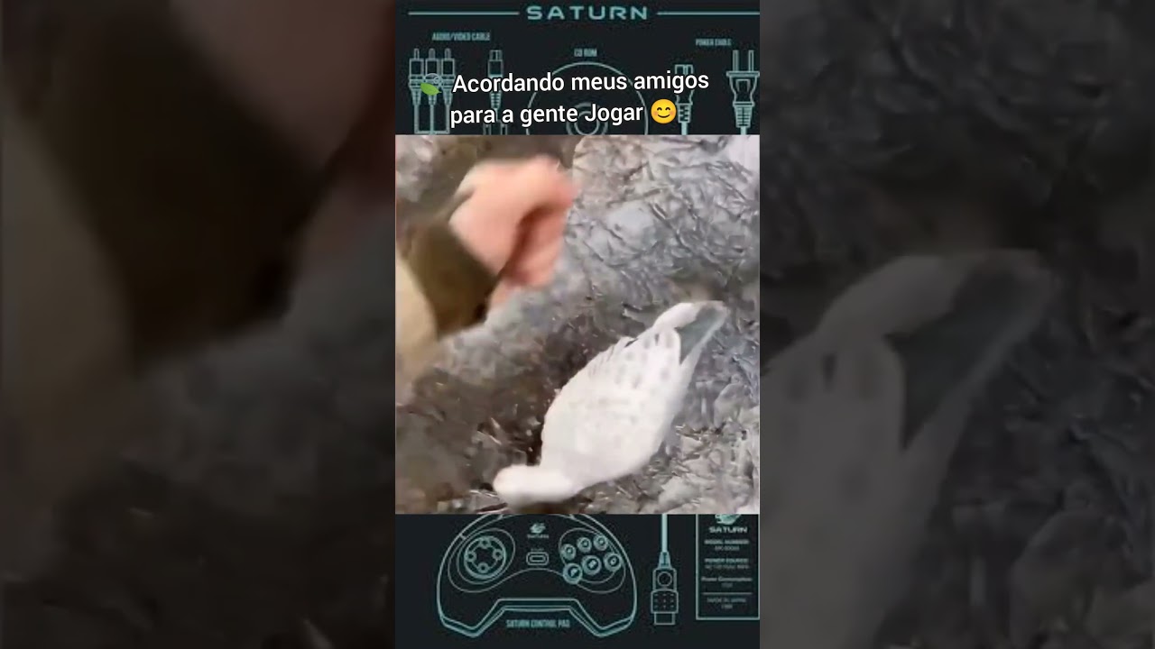 Acordando meus amigos para jogar 👊
