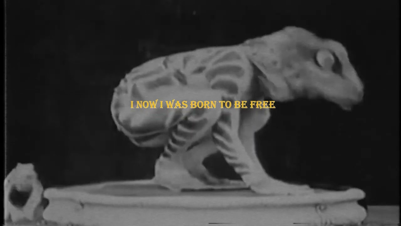 Night Lovell - Cold Shoulder (Official Lyric Video)