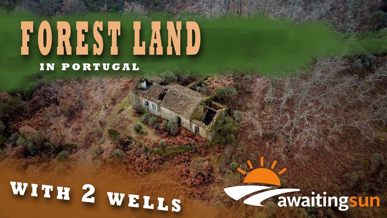 Rural Land for Sale in Central Portugal | Forest, Wells & Terraced Hillside