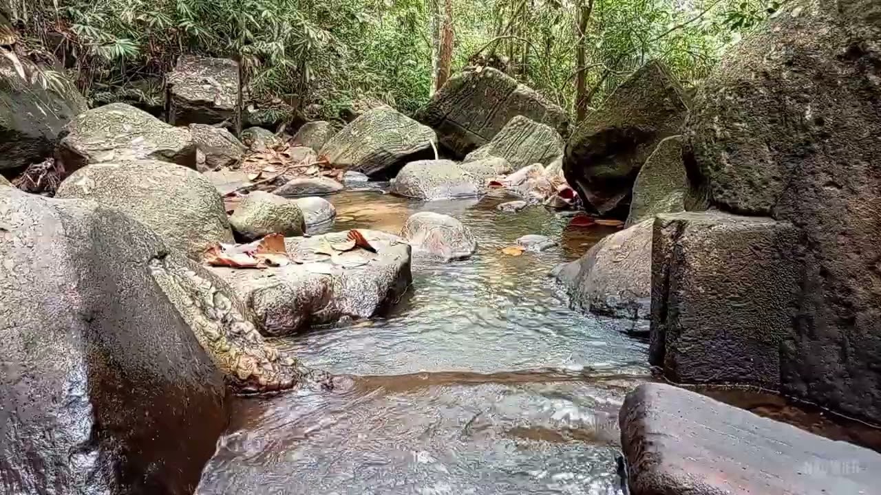Beautiful River Sounds for Mind Relaxing and Deep Sleep 🌿🌊 10 Hours | NAU Wild