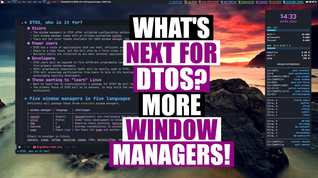 DTOS with Qtile? Dwm? Exwm? That's The Plan!