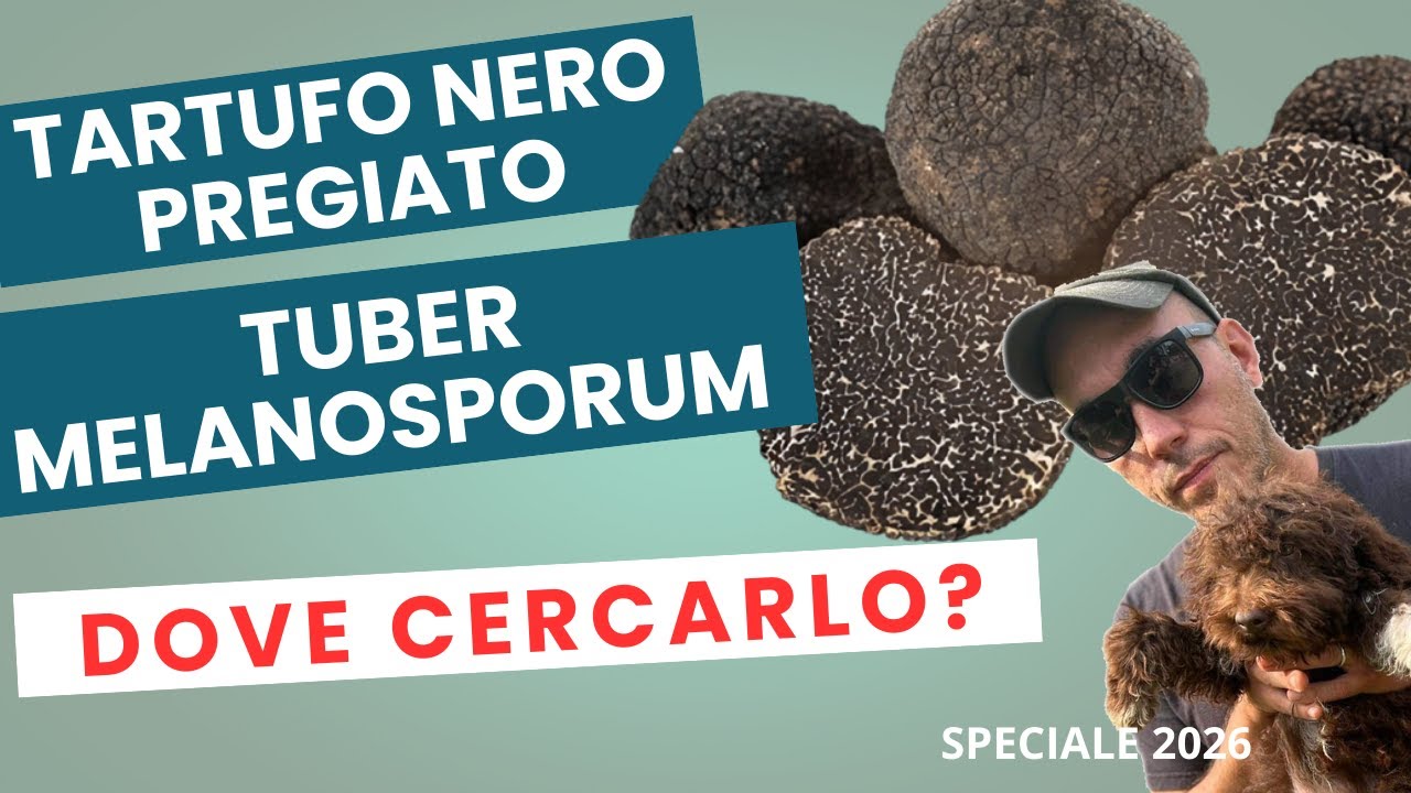 TARTUFO NERO PREGIATO. Conoscere per Trovare
