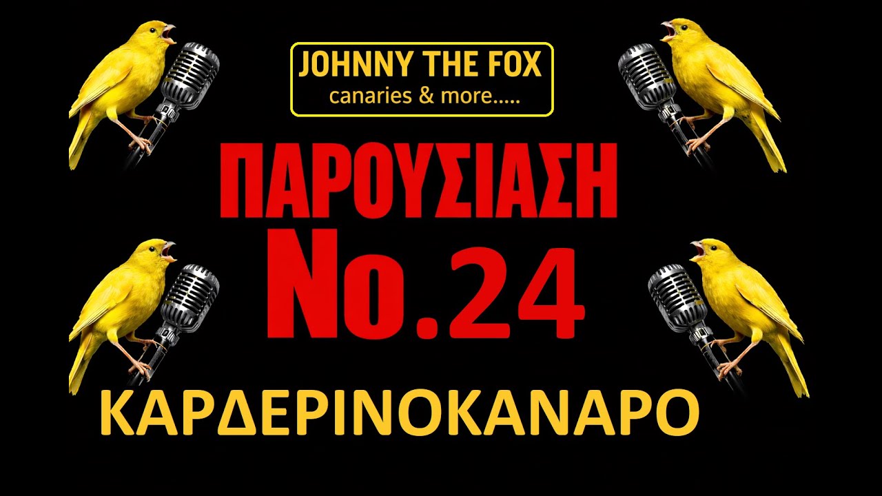 ΚΑΡΔΕΡΙΝΟΚΑΝΑΡΟ.......ΠΑΡΟΥΣΙΑΣΗ Νο 24