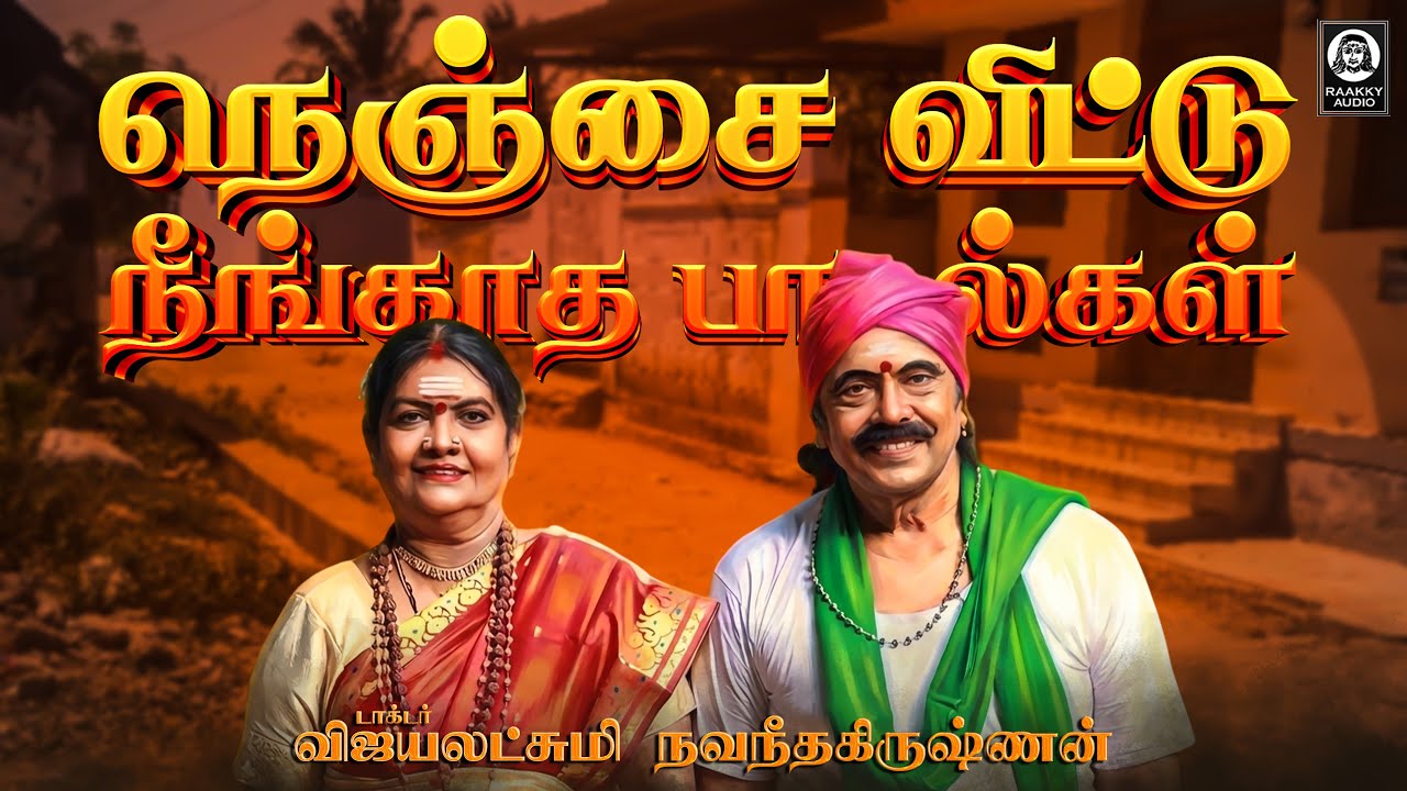 நெஞ்சை விட்டு நீங்காத பாடல்கள் | Vijayalakshmi Navaneethakrishnan | 90s Folk Song |  Raakky Audio
