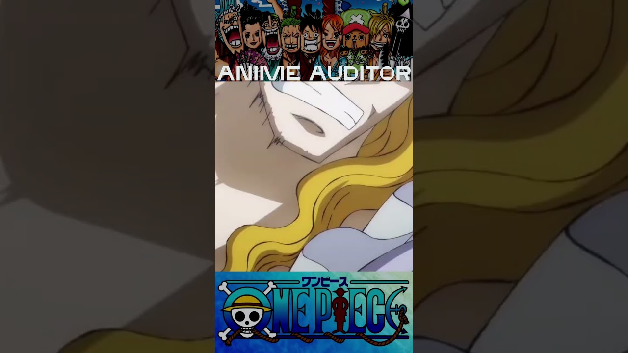 Hawkins Was Almost A Warlord | One Piece