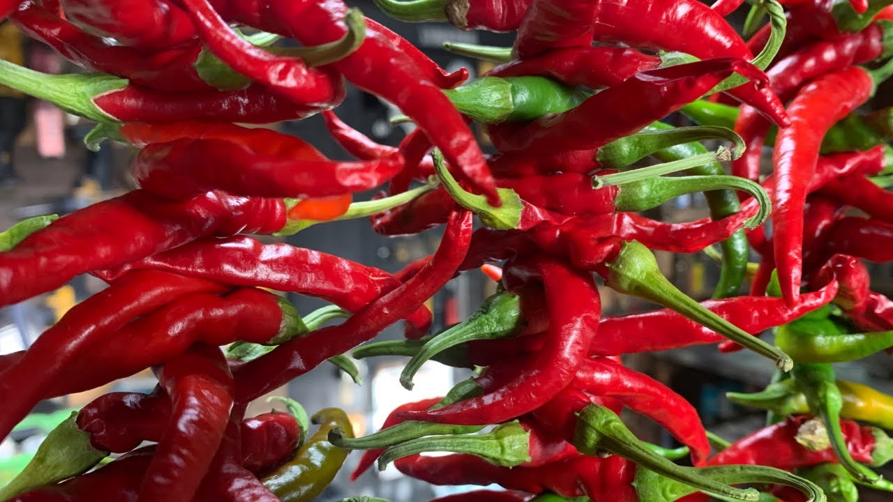 String up cayenne peppers to dehydrate, store, or turn into Cayenne powder.
