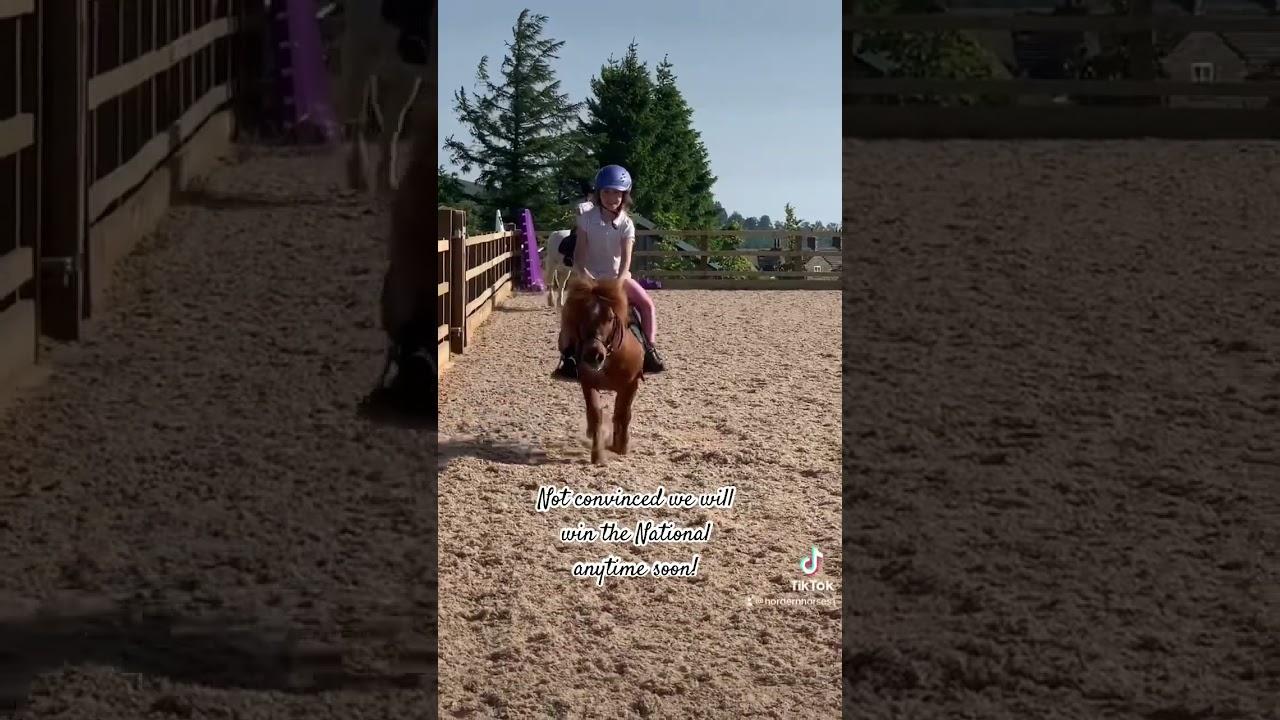 Mini Shetland pony #raceshetland #racingshetland #littleginger #viral