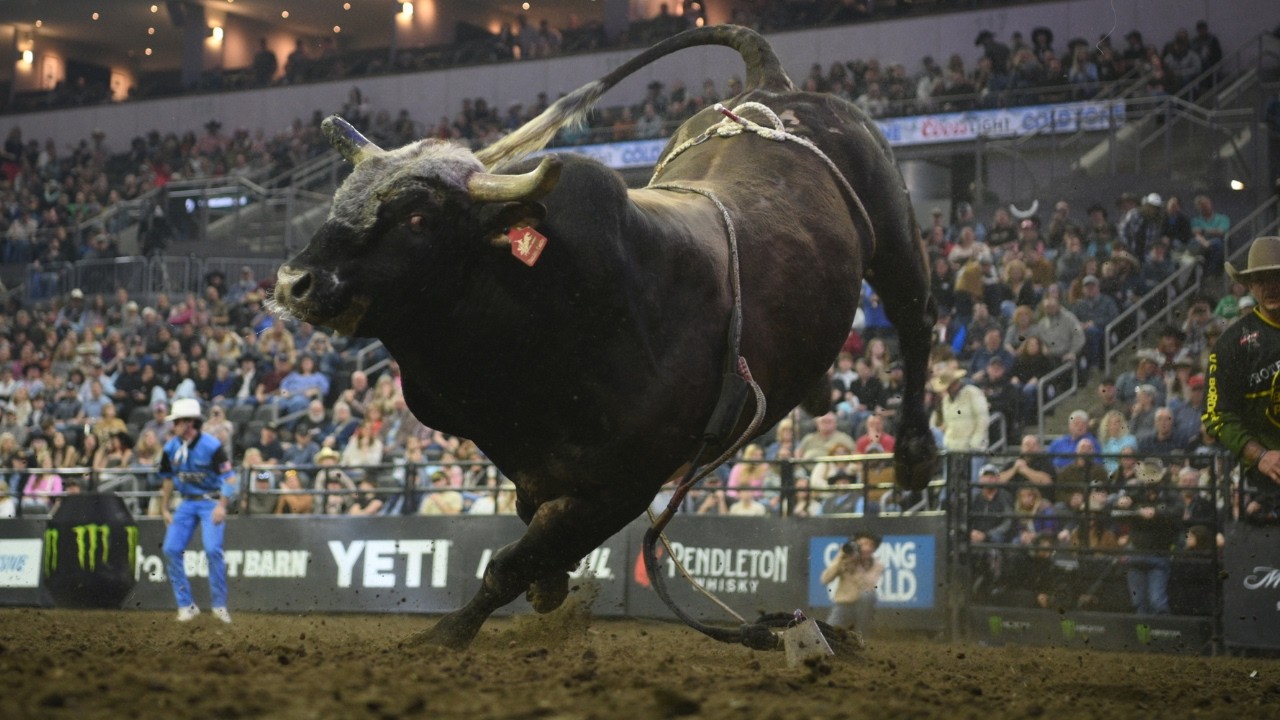 Magic Potion Breaks the Buck-Off Record!