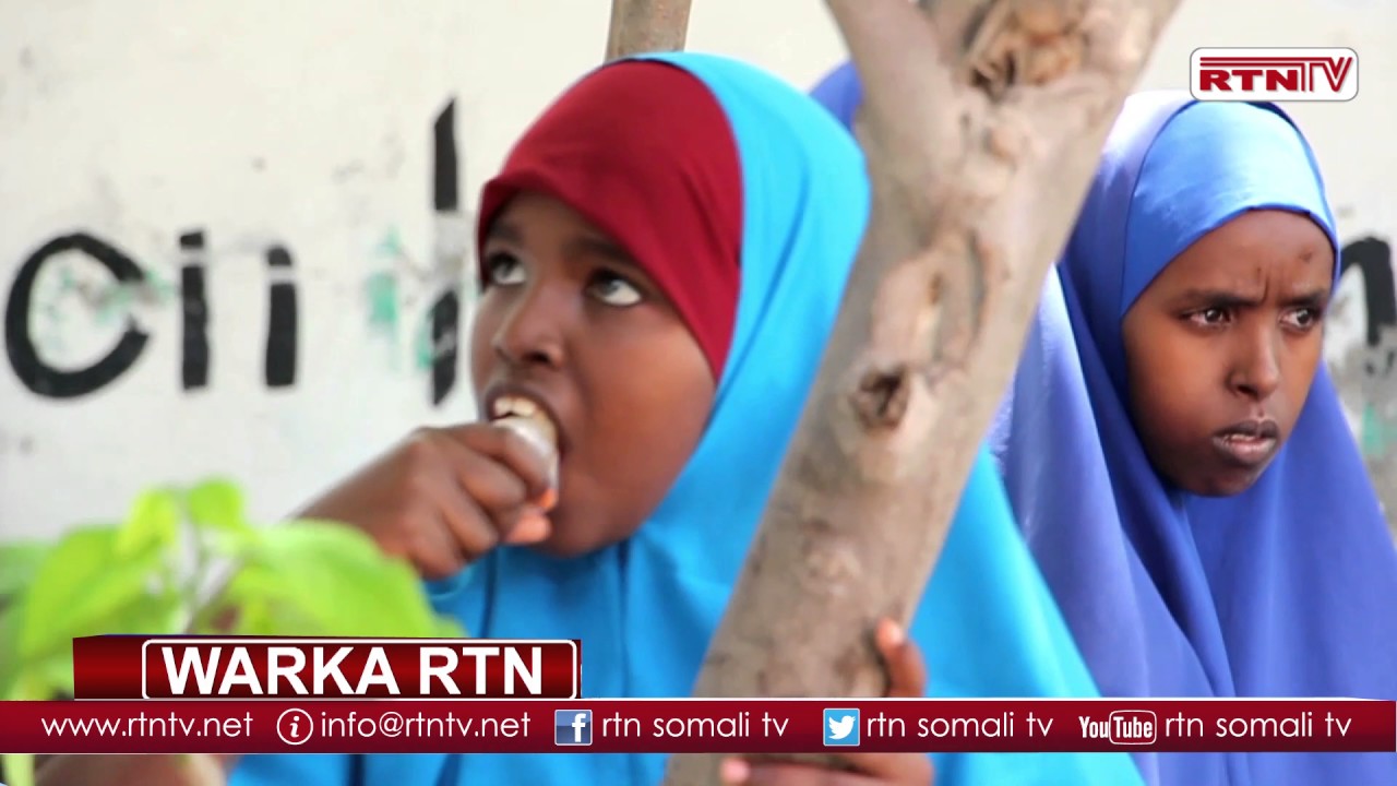 WARKA RTN WARBIXIN ISKUULKA DHAGOOLAYAASHA SONAD EE MUQDISHO