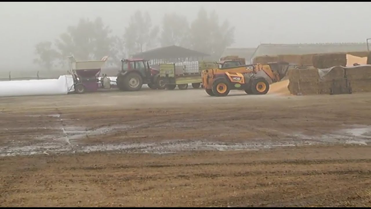 Hajdúnánási Televízió: A körülmények ellenére jó eredményeket ért el a Tedej Zrt. 2021.01.22.