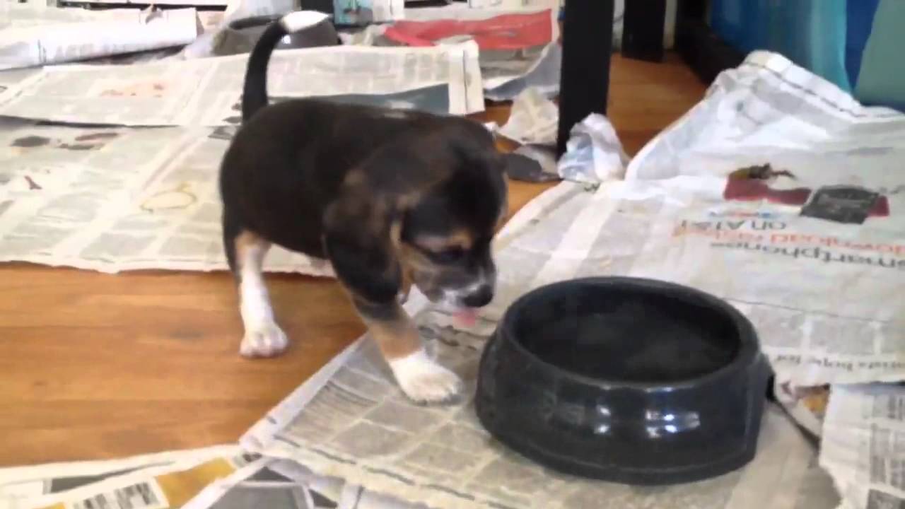 A day in the office with Rescue #8