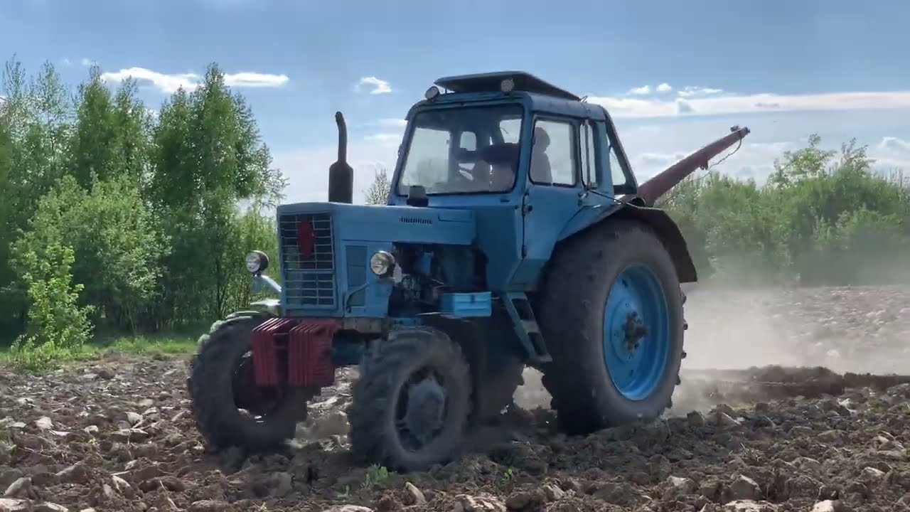 НОВЕ поле - нові клопоти !!!МТЗ-82  в господарстві не ЗАМІНИЙ‼️Дископлуг творить чудеса👍