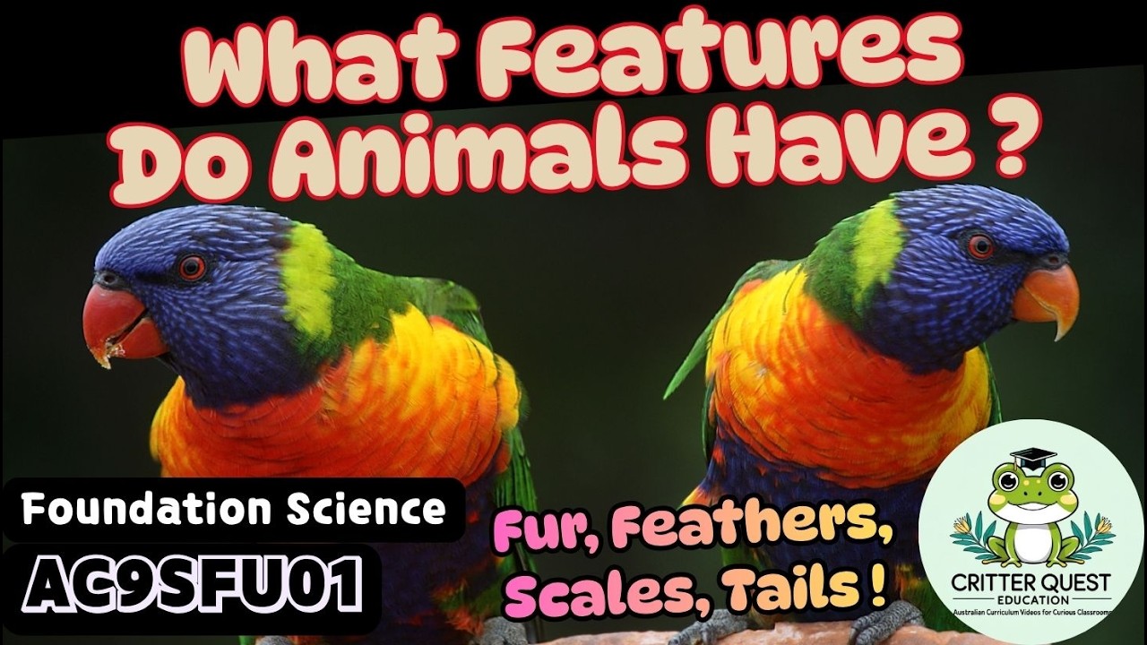External Features of Animals | Foundation Year Science AC9SFU01 &ndash; Grouping Animals by Features