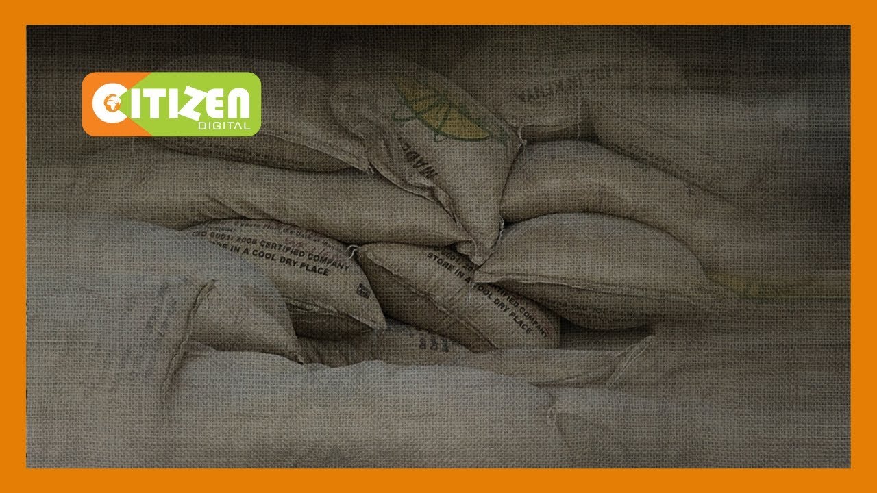Kenya&rsquo;s sugar import increases by 64%