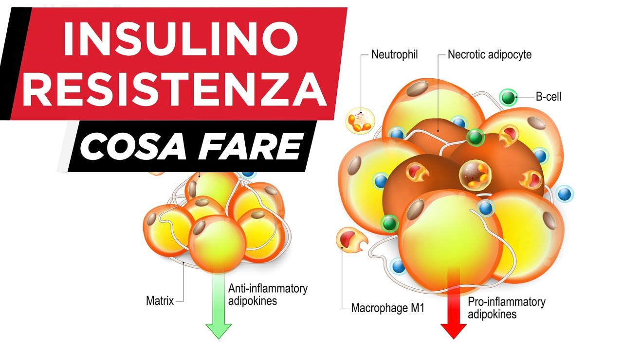 Insulino resistenza e perdita di peso