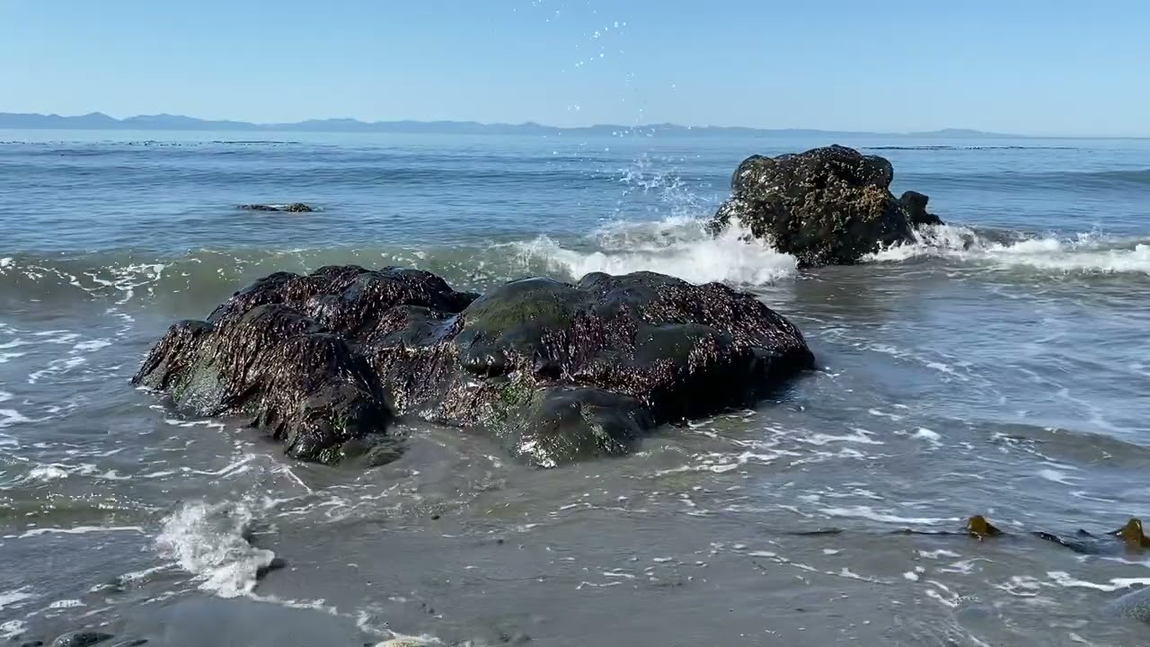 Meditation Practice: Working with Whatever Comes Up - 15 min