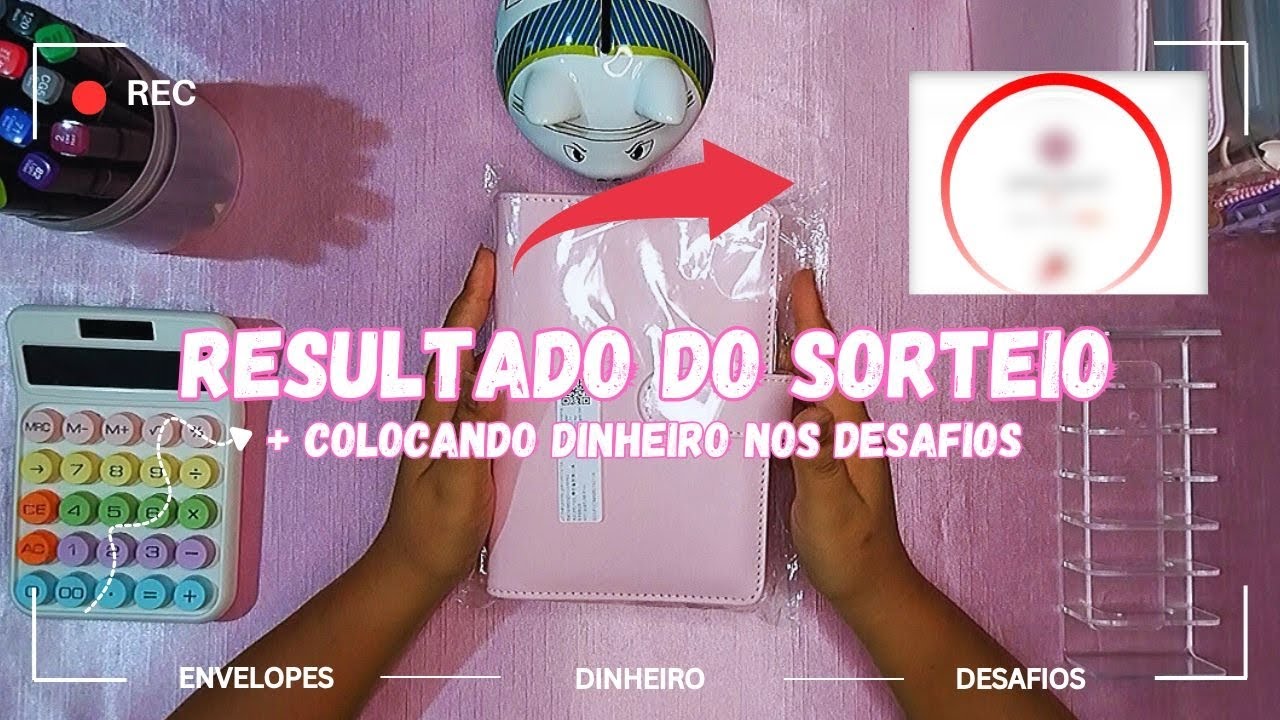 PARTE 1 | COLOCANDO DINHEIRO NOS DESAFIOS + BUDGET BINDER + CASH STUFFING + FICHARIO AZUL
