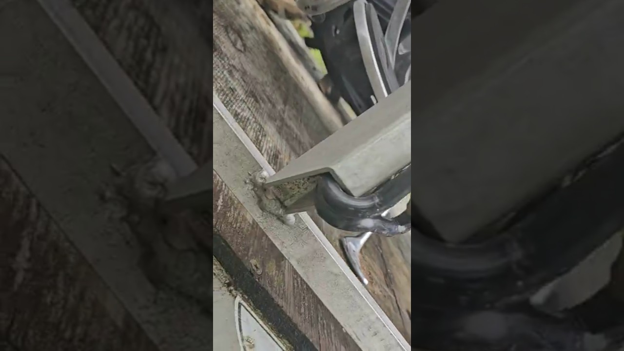 how to NOT tie a motorcycle down