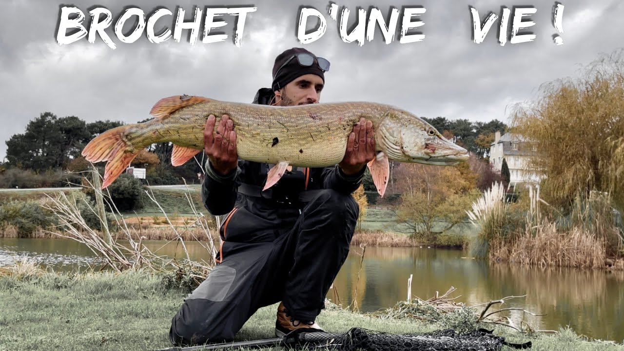 BAR ET BROCHET dans la m&ecirc;me journ&eacute;e, un d&eacute;fi p&ecirc;che qui tourne au poisson RECORD !