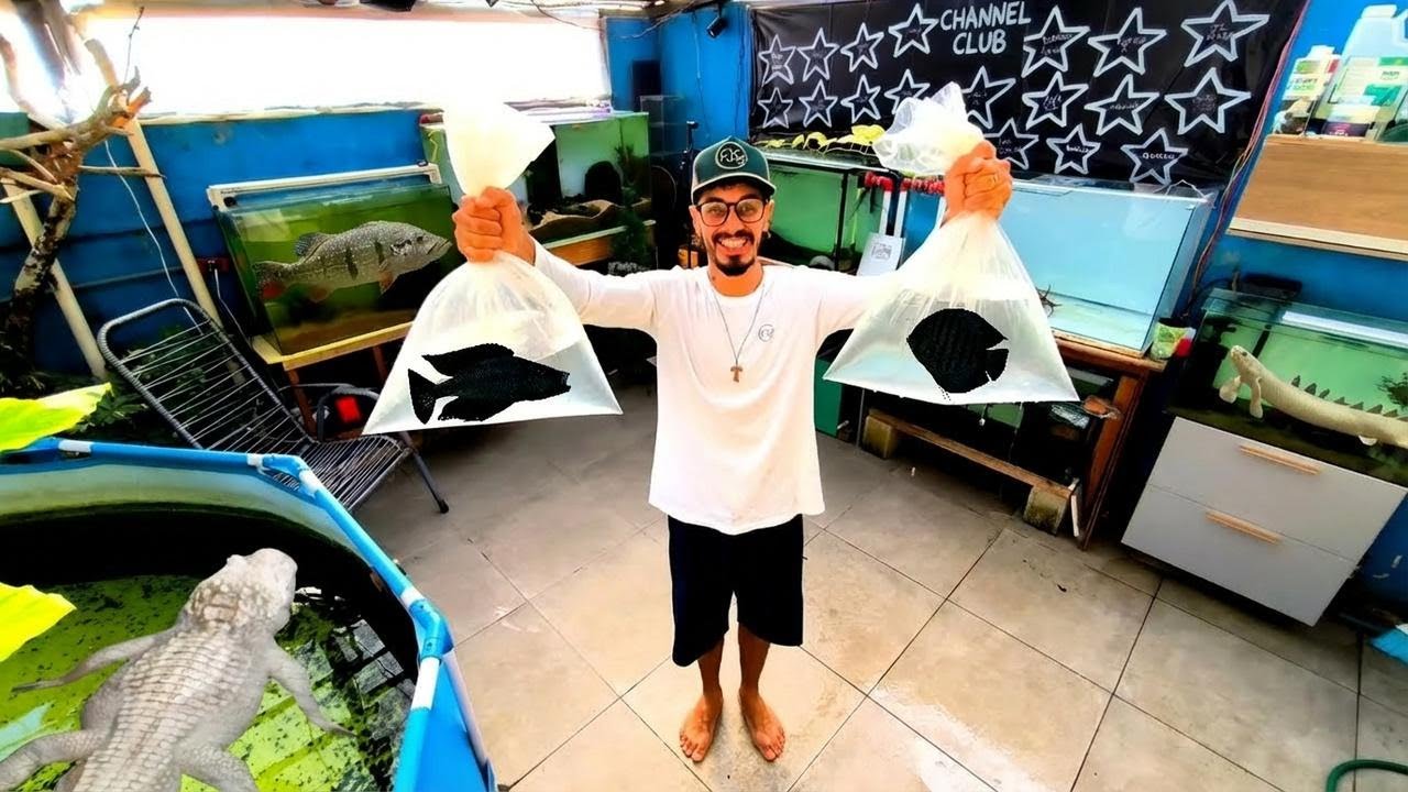 I Bought Crazy Rare Fish at a Bizarre Market