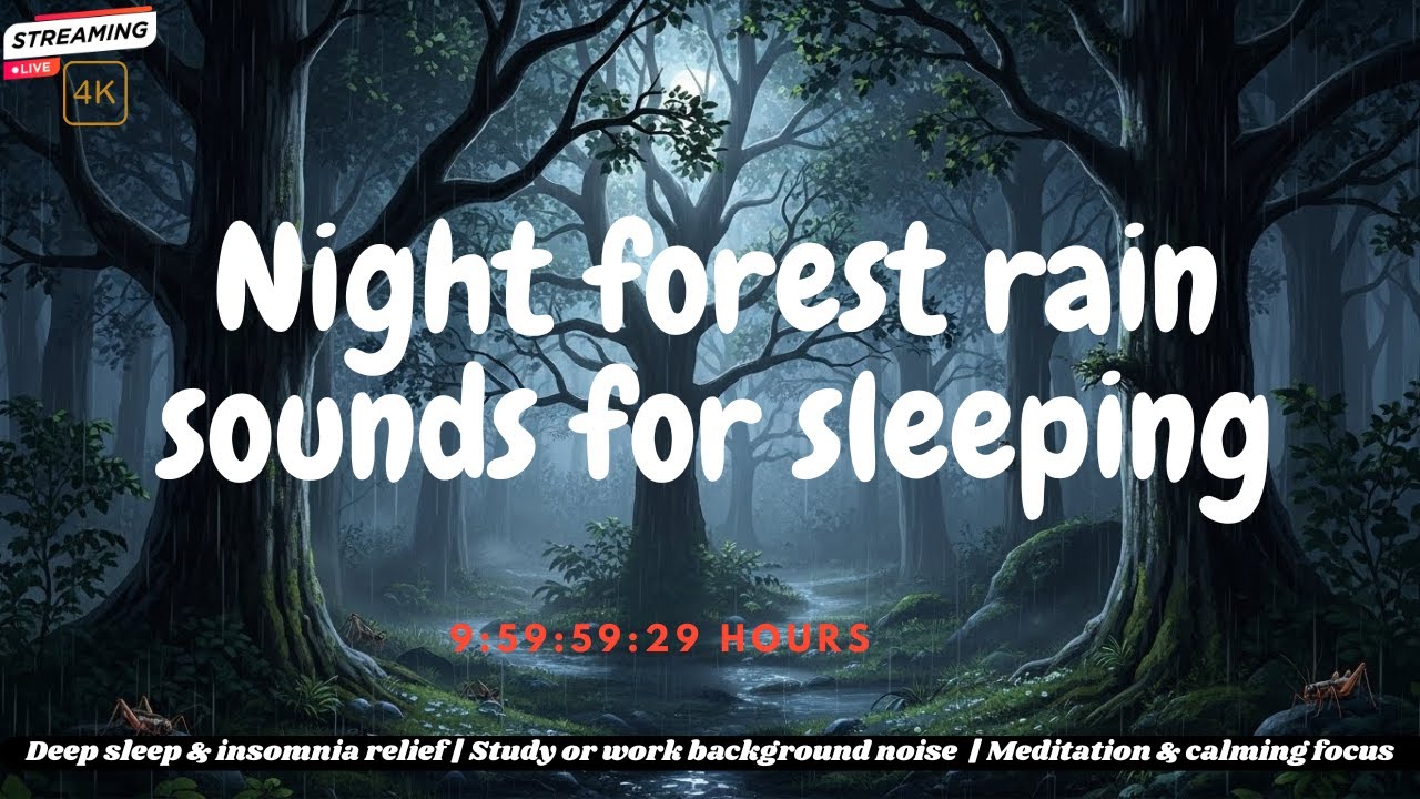 Rain Sounds at Night | Mountain Forest Ambience