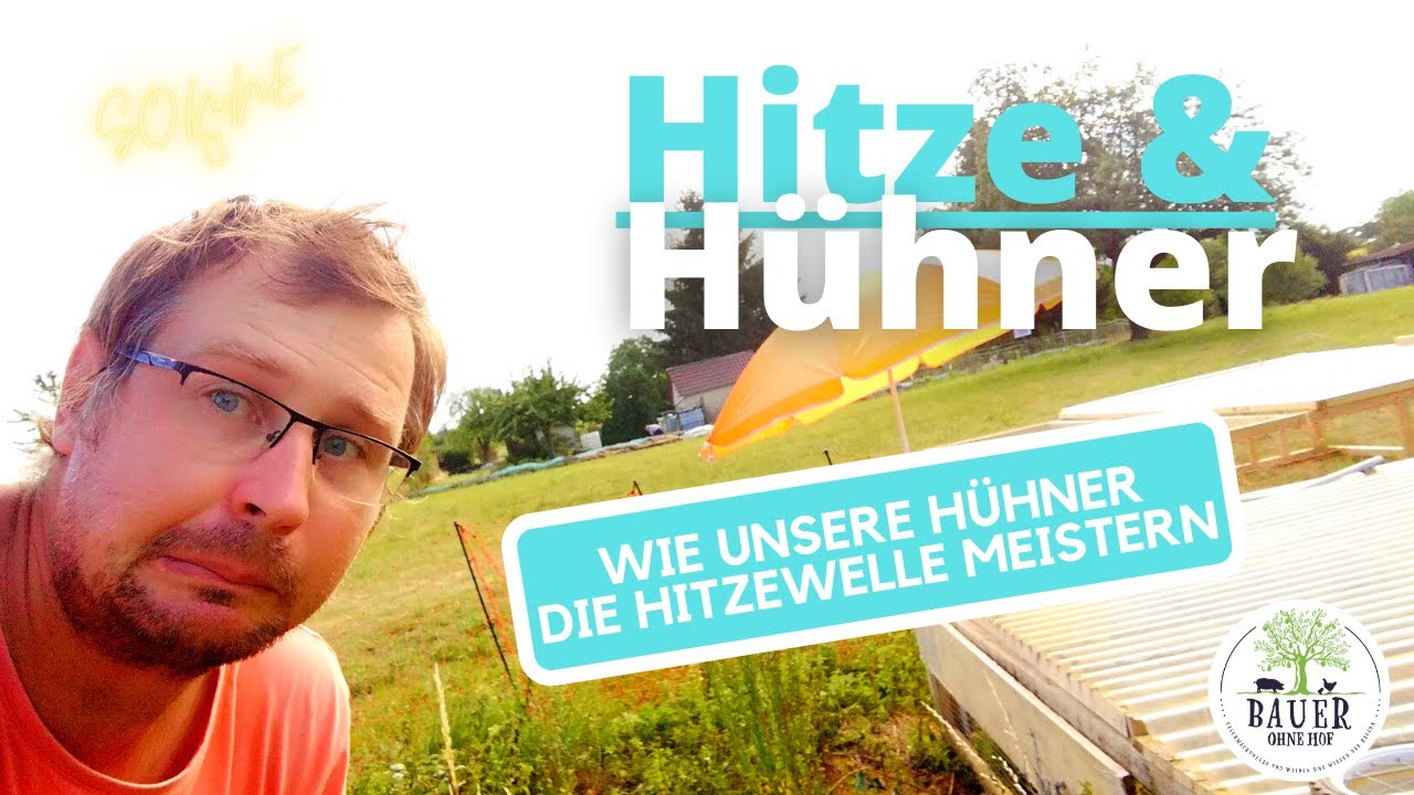 H&uuml;hnerhaltung f&uuml;r Anf&auml;nger - Hitzewelle im Garten 🌞