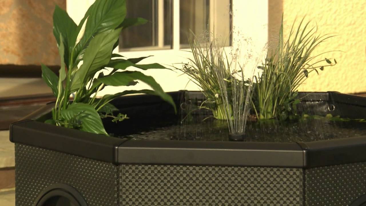 Complete Raised Window Pond Kit | Pennington Aquagarden