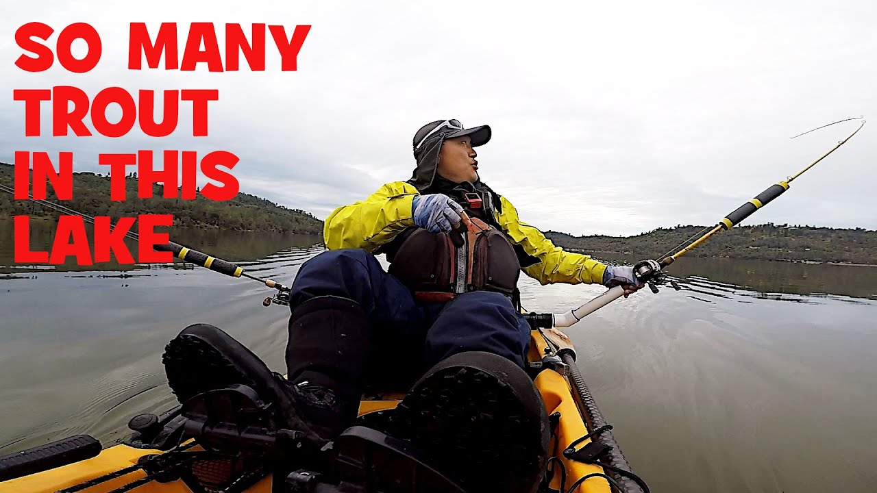 In Search Of BIG TROUT At Collins Lake