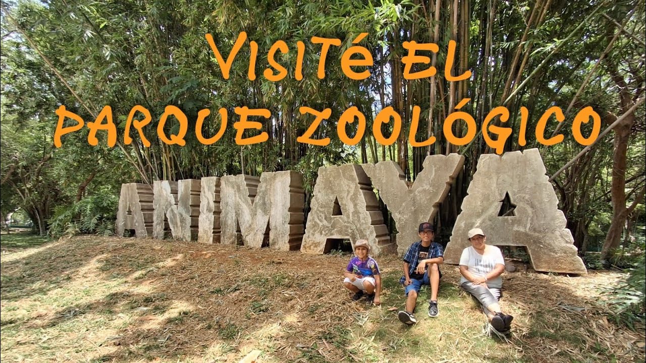 Parque Zoológico Animaya 🌞🦁🦒 
