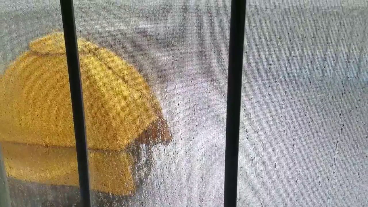 Seriously Crazy, Insane Hail Storm on May 31, 2017!!!!!