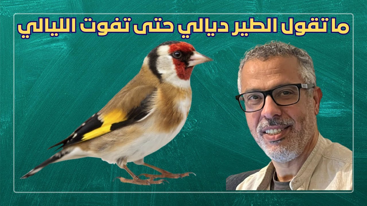 أسس التغذية والعناية السليمة (ما تقول الطير ديالي حتى تفوت الليالي)