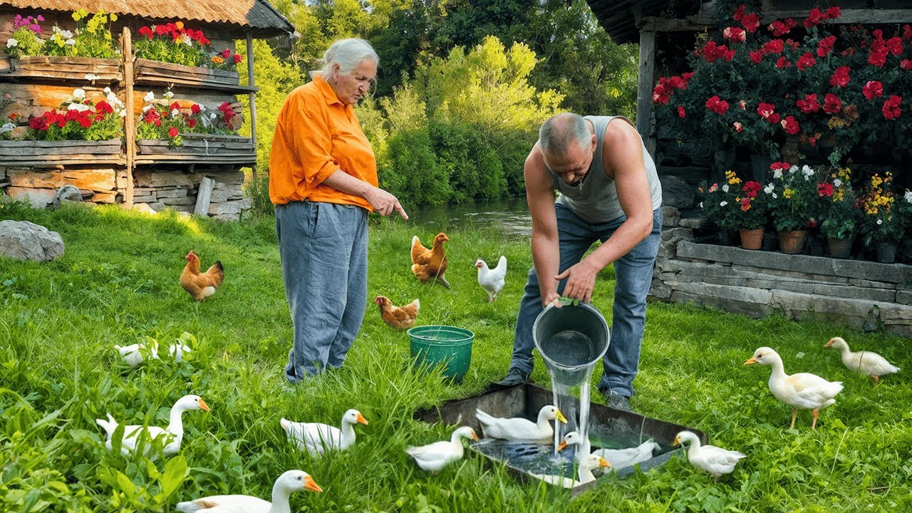 85-Year-Old Mother & Her Only Son Caring for Animals and Traditions in the Mountains 🏔️🐓