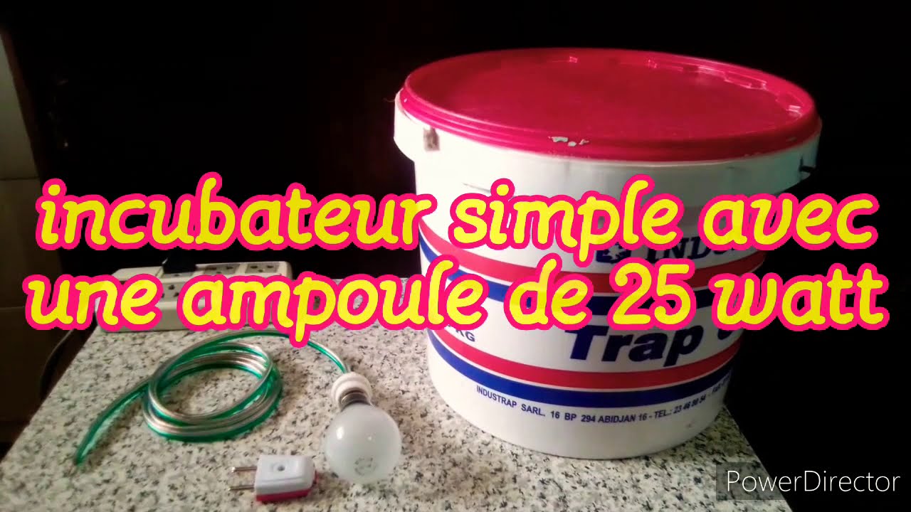 couveuse maison simple avec une ampoule de 25 watt.