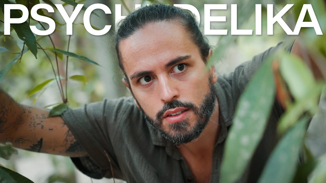 PSYCHEDELIKA (Offizieller Trailer zum Buch)