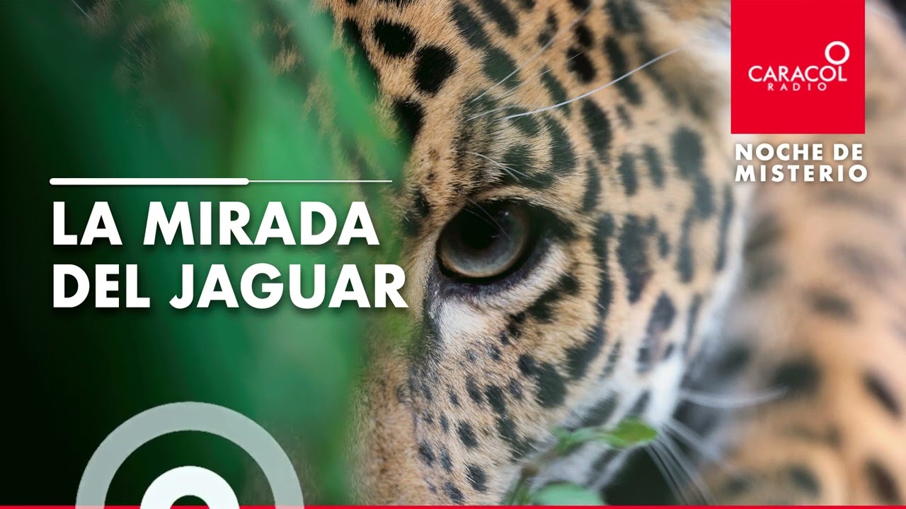 Noche de Misterio | La mirada del jaguar