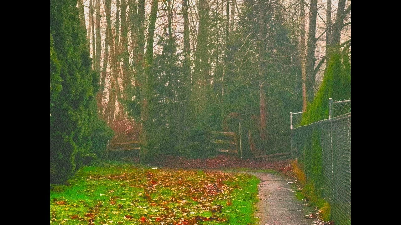 Misty Creek