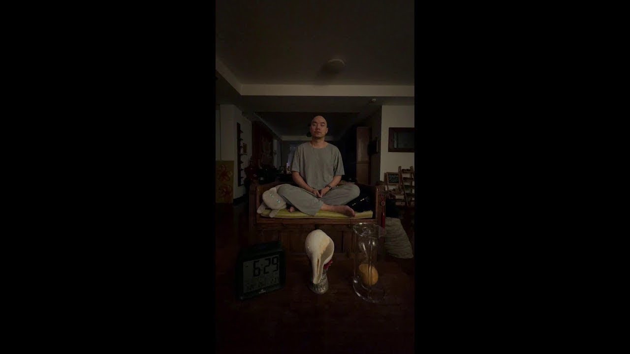 LIVE Meditation Day 2029  #สันติ #peace #paix #paz #和平