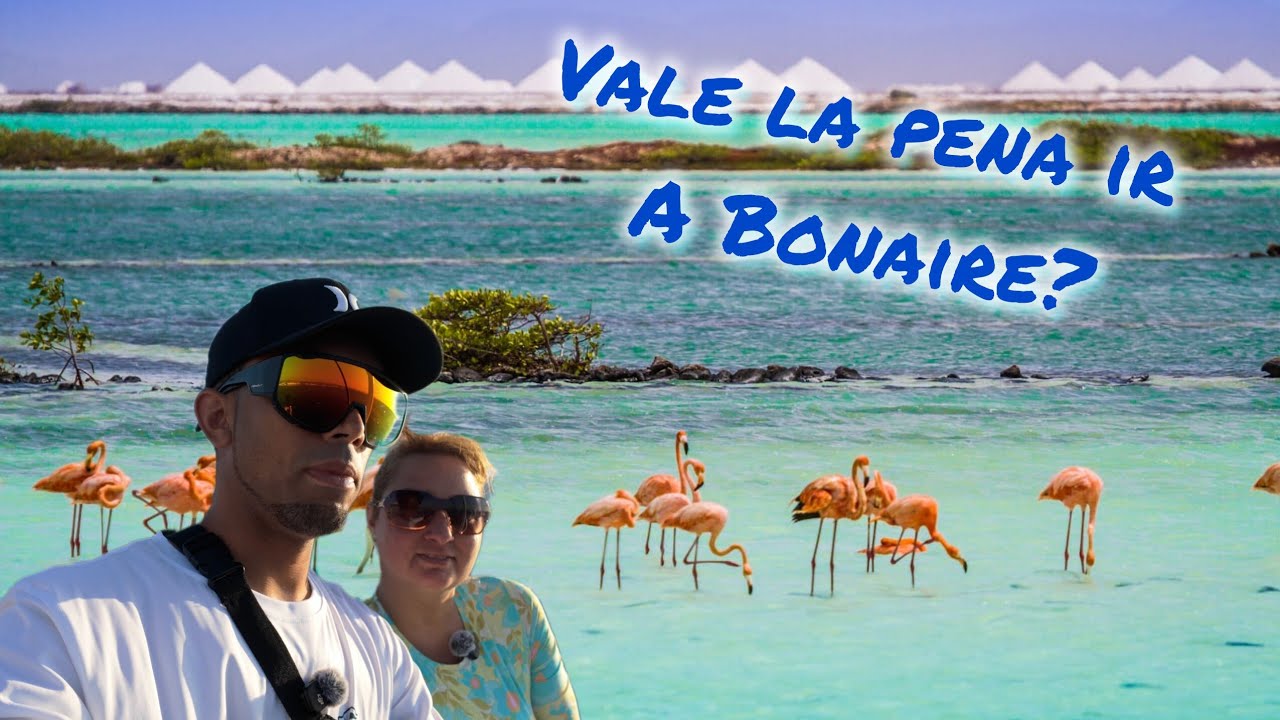 Vale la pena hacer un TOUR en Bonaire?